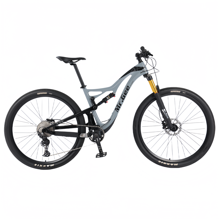 Vélo en Fiber de carbone 29 po - Cycling Gear Price avis et prix
